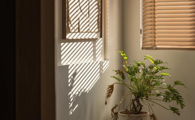 淘金-現(xiàn)代無主光